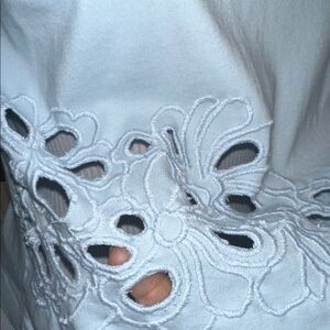 Japna Embroidered Top- Light Blue